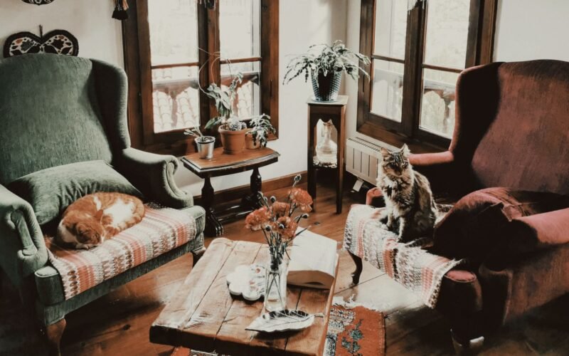 A warm living room featuring cats on vintage armchairs and rustic decor.