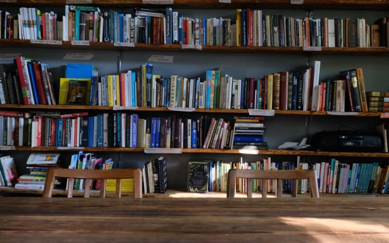 A serene library setting with wooden shelves filled with diverse books, inviting study or relaxation.