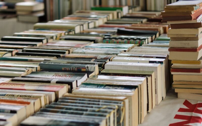 Wide view of numerous books neatly arranged at a book market, showcasing variety and abundance.