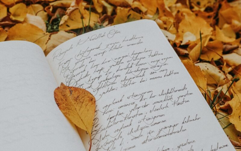 An open book with handwritten text on a bed of yellow autumn leaves.