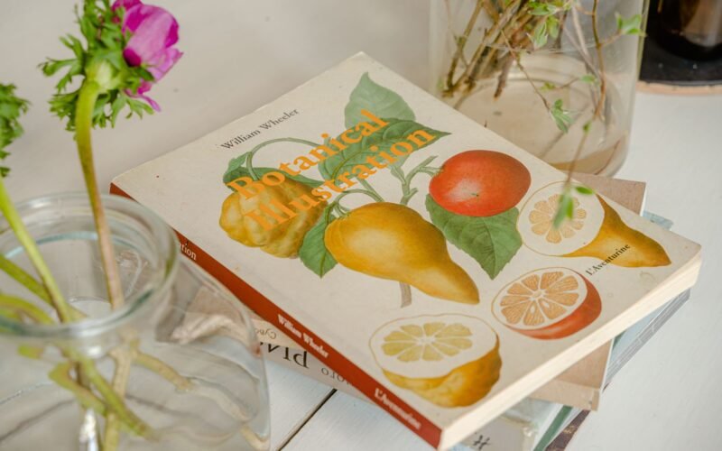 From above of book with pictures of various citrus fruits near transparent jar with blossoming flowers on thin stems with tender buds and pointed leaves