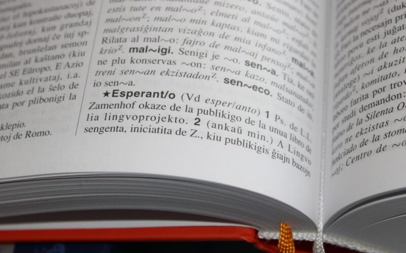 Close-up of an open book featuring text and definitions in Esperanto language.